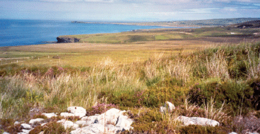 Sustainable agriculture